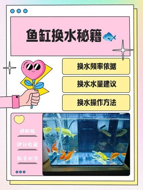 龍魚單側掉眼最簡單的恢復方法圖解 龍魚單側掉眼最簡單的恢復方法圖解 龍魚百科 第24張