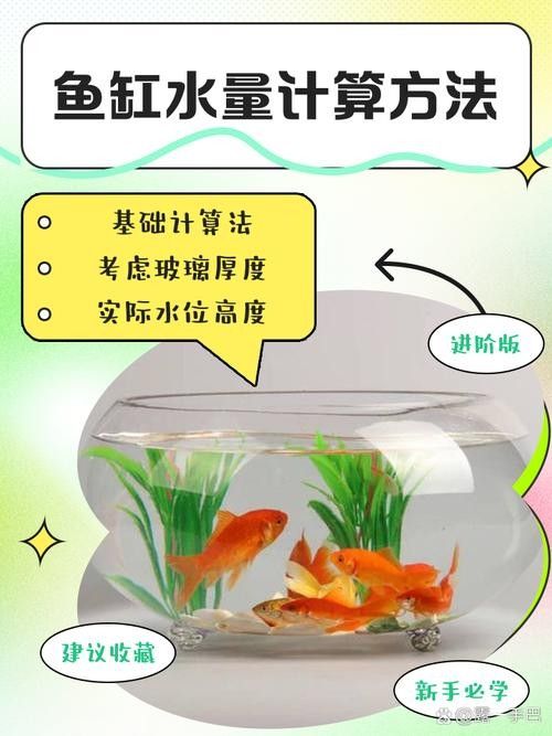 龍魚單側掉眼最簡單的恢復方法圖解 龍魚單側掉眼最簡單的恢復方法圖解 龍魚百科 第26張