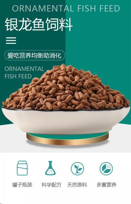 龍魚單側掉眼最簡單的恢復方法圖解 龍魚單側掉眼最簡單的恢復方法圖解 龍魚百科 第37張