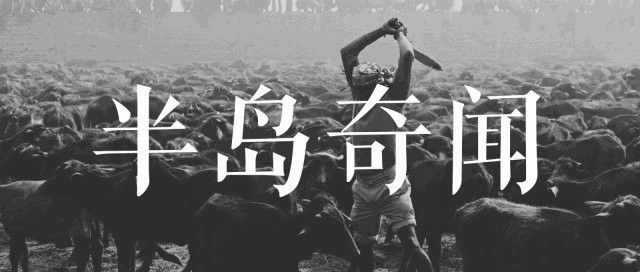 純血紅龍魚價格大概是多少？ 純血紅龍魚價格大概是多少？ 龍魚百科 第2張