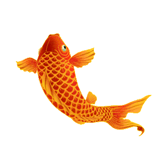 紅金龍魚動態壁紙（關于紅金龍魚動態壁紙的問題）