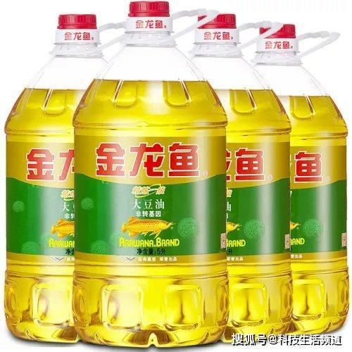 紅龍魚用什么背景最好發(fā)色的顏色好看呢視頻教程（紅龍魚適合什么顏色的背景）