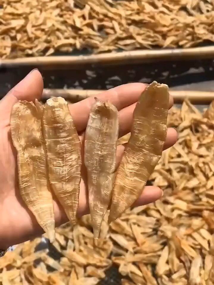 金龍膠和黃花膠哪個(gè)好