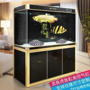 龍魚缸要多大：養龍魚的理想魚缸尺寸取決于什么？