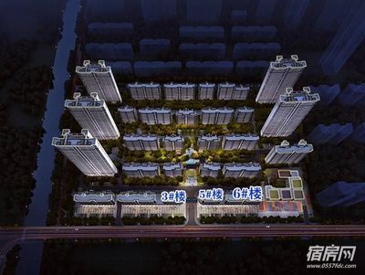 金龍魚俯視圖高清，金龍魚俯視圖高清圖片