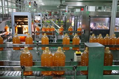 金龍魚俯視圖高清，金龍魚俯視圖高清圖片