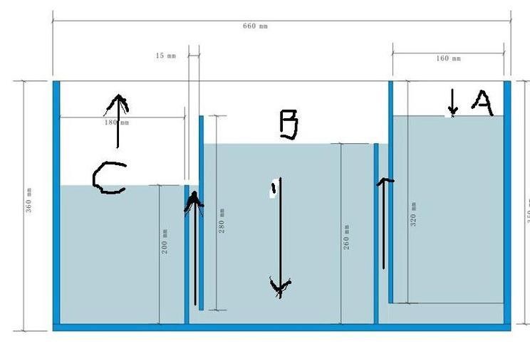 龍魚用什么過濾器