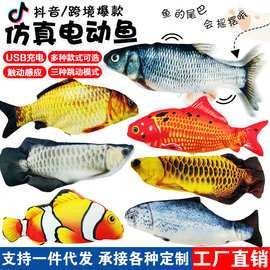 銀川水族批發(fā)市場買龍魚價(jià)格多少錢 銀川水族批發(fā)市場買龍魚價(jià)格多少錢 龍魚百科 第11張