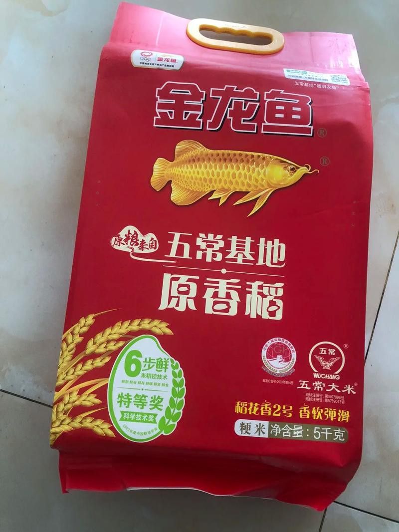 金龍魚的產品介紹