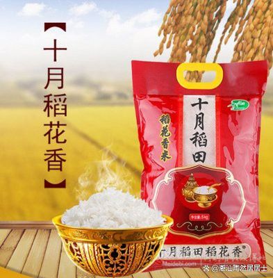 金龍魚的產品介紹