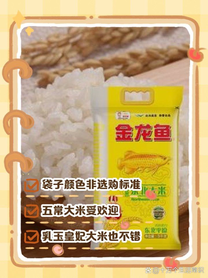 金龍魚的產品介紹