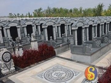 龍生墓園的墓碑材質(zhì)有哪些選擇？ 龍生墓園的墓碑材質(zhì)有哪些選擇？ 龍魚百科 第1張
