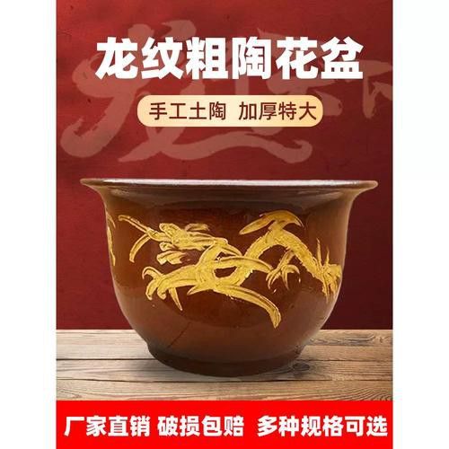 有沒有更多經濟型龍缸推薦？