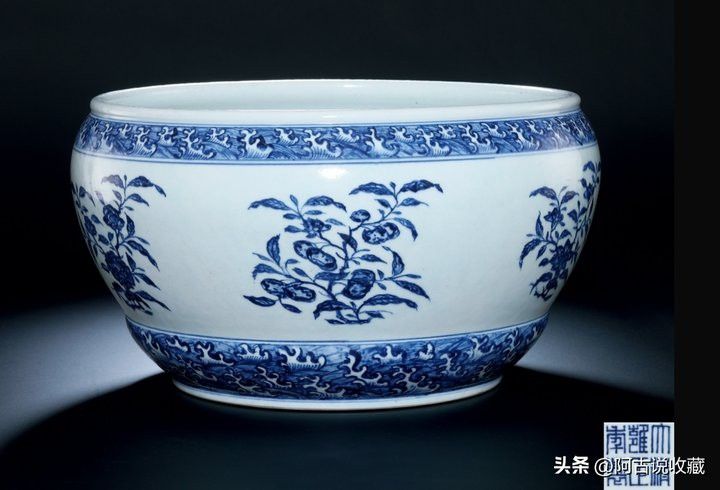 有沒有更多經濟型龍缸推薦？