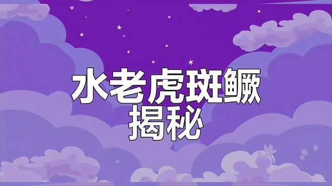 老虎魚鱖魚