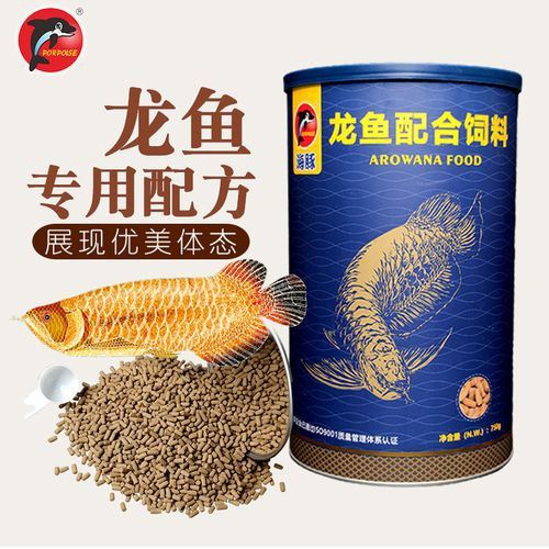 如何延長高背金龍魚的壽命？ 如何延長高背金龍魚的壽命？ 龍魚百科 第5張