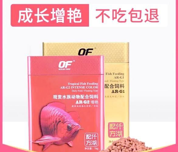 如何延長高背金龍魚的壽命？ 如何延長高背金龍魚的壽命？ 龍魚百科 第3張