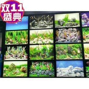 純黑龍魚的價格一般多少錢一斤：純黑龍魚價格一般多少錢一斤 純黑龍魚的價格一般多少錢一斤：純黑龍魚價格一般多少錢一斤 龍魚百科 第3張