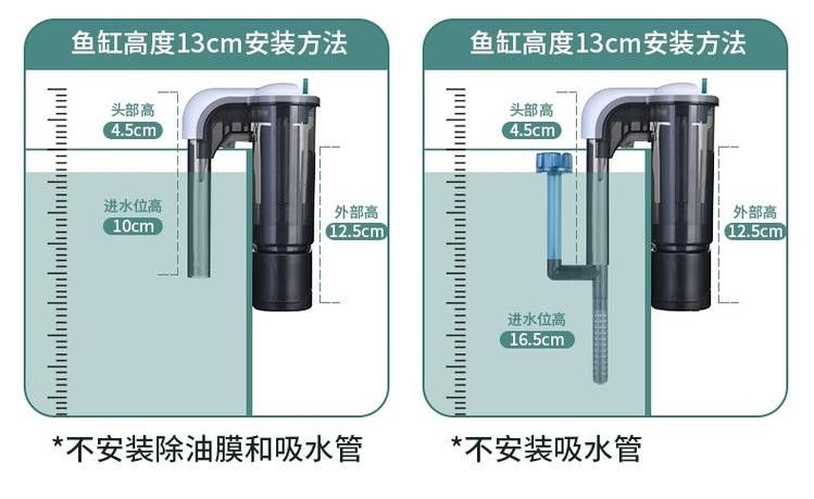 推薦幾款適合中小型龍魚的過濾系統