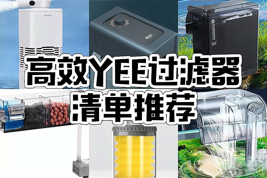 推薦幾款適合中小型龍魚的過濾系統