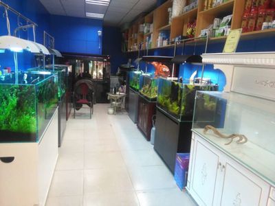 水族館加盟find祥龍魚(yú)場(chǎng)怎么樣：馬來(lái)西亞祥龍魚(yú)場(chǎng)加盟