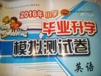 淡水海龍魚一窩能生多少只