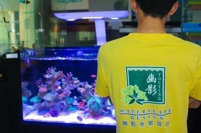 魚友交流平臺推薦：武釣江湖釣魚技巧分享武釣江湖釣魚技巧分享 魚友交流平臺推薦：武釣江湖釣魚技巧分享武釣江湖釣魚技巧分享 龍魚百科 第1張