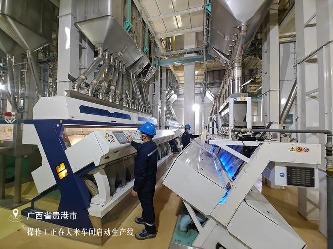 金龍魚杭州工廠