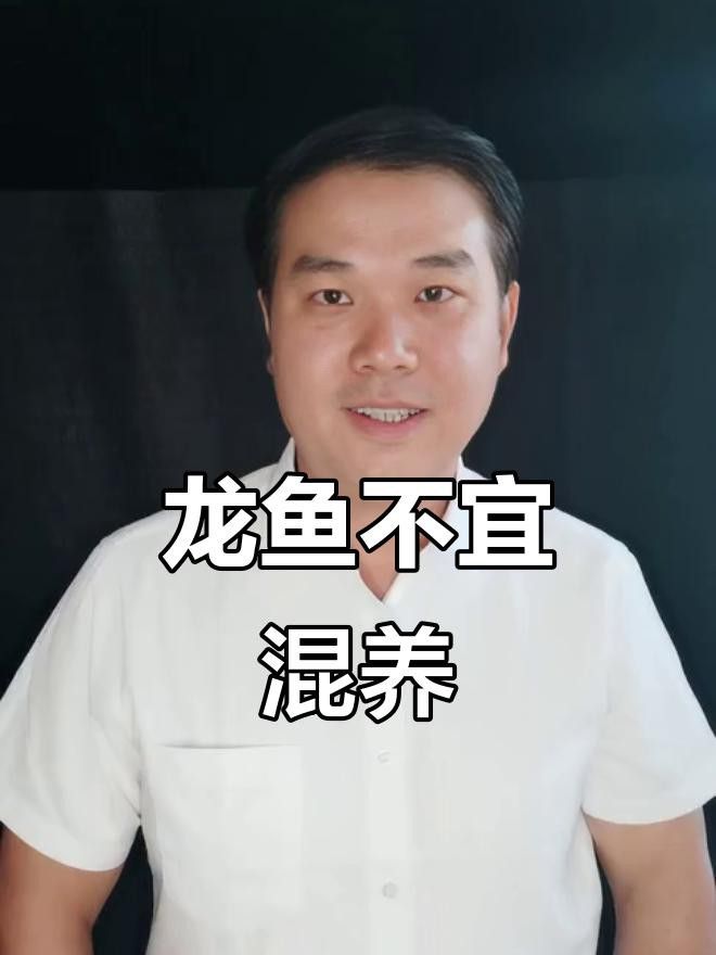 如何設置星點龍魚的魚缸環境？ 如何設置星點龍魚的魚缸環境？ 龍魚百科 第6張