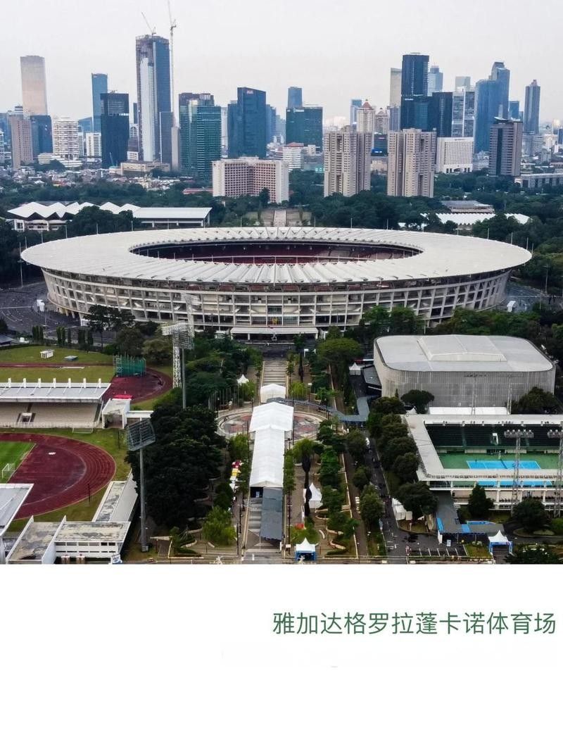 龍魚什么體型好看圖片欣賞