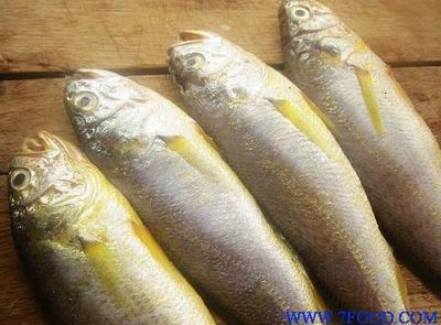 龍魚做掉眼手術失敗：龍魚眼手術后能看見嗎？術后恢復與視力改善解析