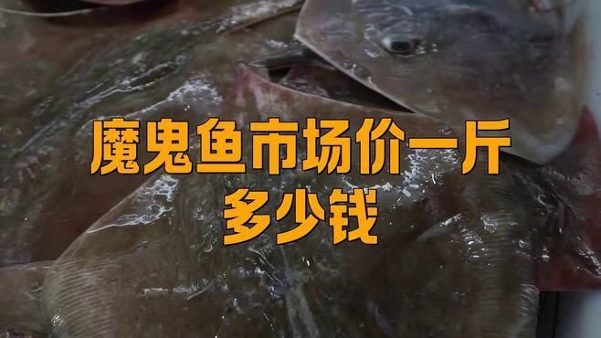 魔鬼魚市場價(jià)一斤多少錢