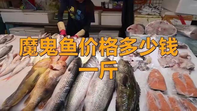 魔鬼魚市場價(jià)一斤多少錢