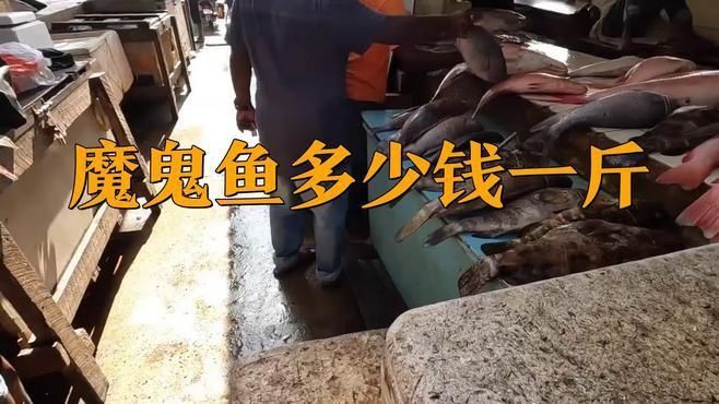 魔鬼魚市場價(jià)一斤多少錢