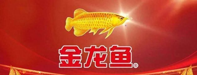 龍魚好幾天不吃東西能餓死嗎為什么：如何判斷龍魚是否能夠餓死