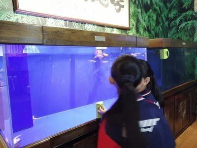 祥龍魚場有限公司官網(wǎng)天津（天津水族批發(fā)市場祥龍魚場地址查詢）