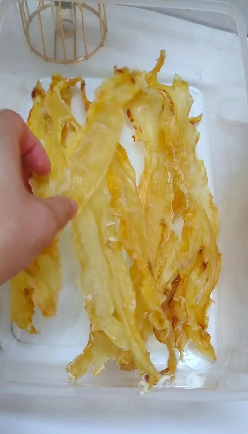金龍魚珍品 金龍魚珍品 龍魚百科 第1張