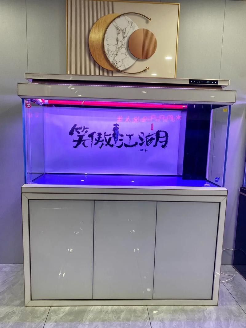 大型龍魚缸效果圖片大全欣賞 大型龍魚缸效果圖片大全欣賞 龍魚百科 第7張