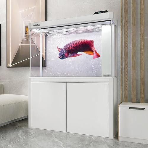 大型龍魚缸效果圖片大全欣賞 大型龍魚缸效果圖片大全欣賞 龍魚百科 第11張