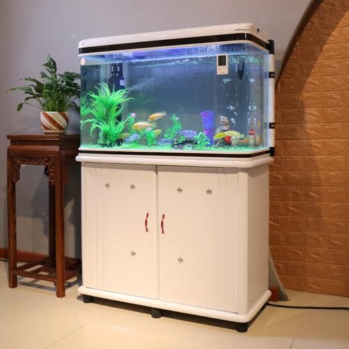 大型龍魚缸效果圖片大全欣賞 大型龍魚缸效果圖片大全欣賞 龍魚百科 第17張