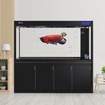 大型龍魚缸效果圖片大全欣賞 大型龍魚缸效果圖片大全欣賞 龍魚百科 第18張