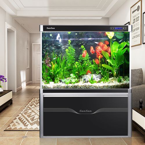 大型龍魚缸效果圖片大全欣賞 大型龍魚缸效果圖片大全欣賞 龍魚百科 第20張