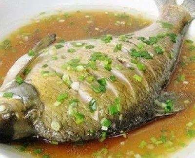 血鰭銀板食譜及營養需求：血鰭銀板的食譜以及其營養需求