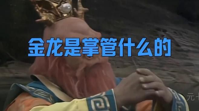黃龍和金龍在文化中的具體職能有哪些？