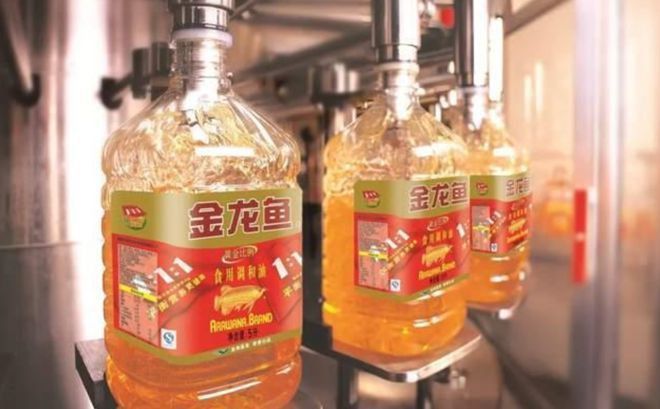 金龍魚盈利能力分析