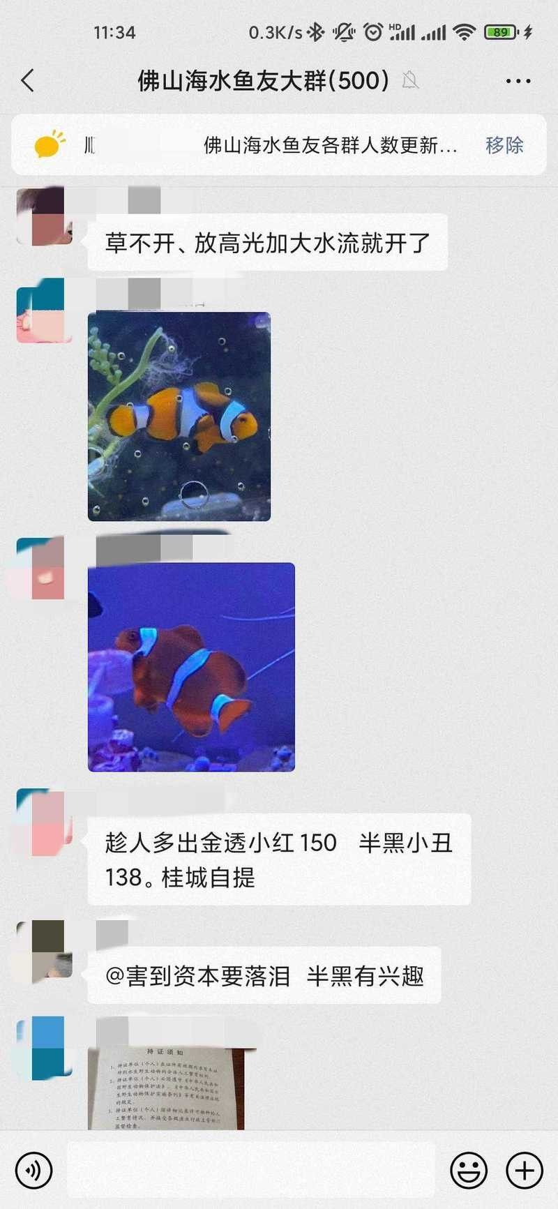 龍魚魚友微信群 龍魚魚友微信群 龍魚百科 第2張
