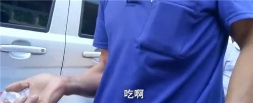 招財貓魚苗混養食物選擇：招財貓魚苗的食物選擇