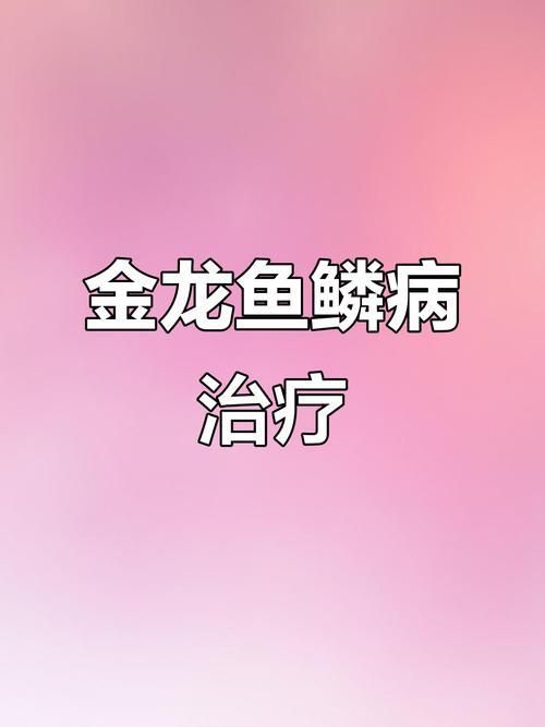 龍魚細菌感染圖片
