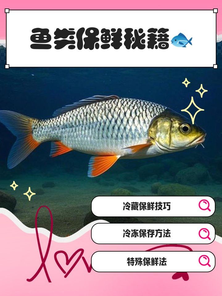 紅龍魚的最佳儲存方法是什么？ 紅龍魚的最佳儲存方法是什么？ 龍魚百科 第10張