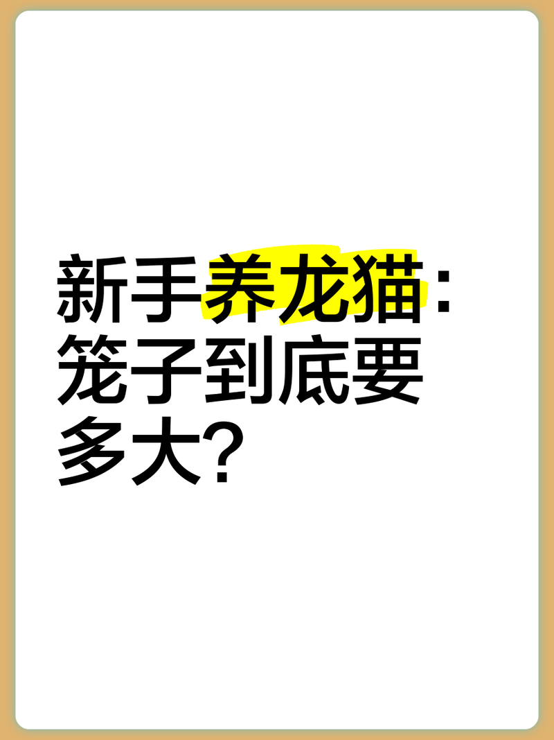 龍貓籠子多高合適？